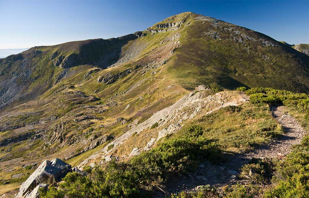 Reserva Nacional de Caza Ancares Leoneses